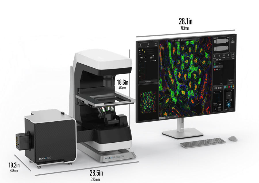 confocal 3D900635.png