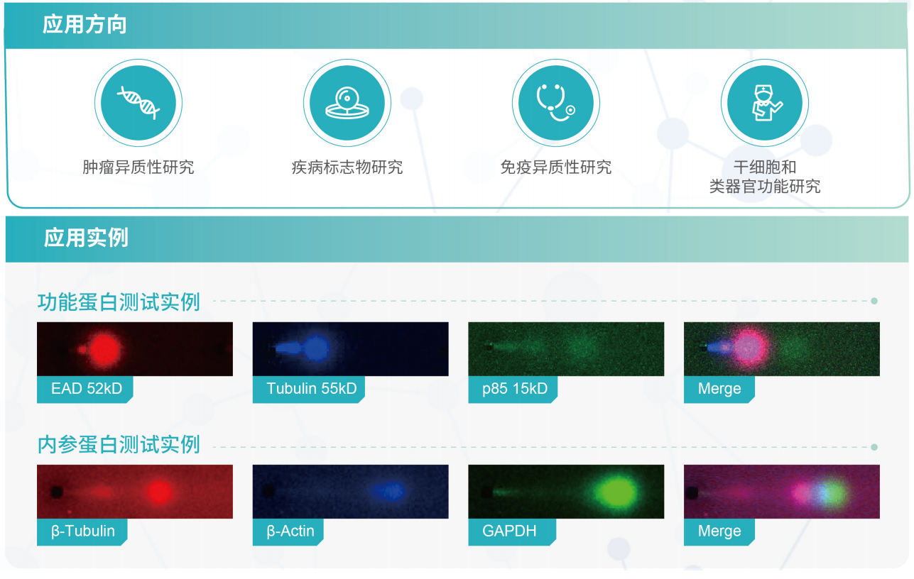 1764671309130608.png 应用方向与实例.png