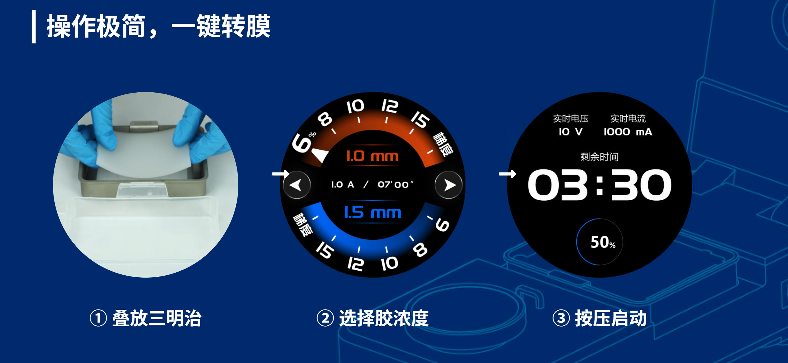 转膜步骤图.jpg